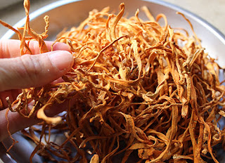 Why to use cordyceps for Chronic Lung Disease ?