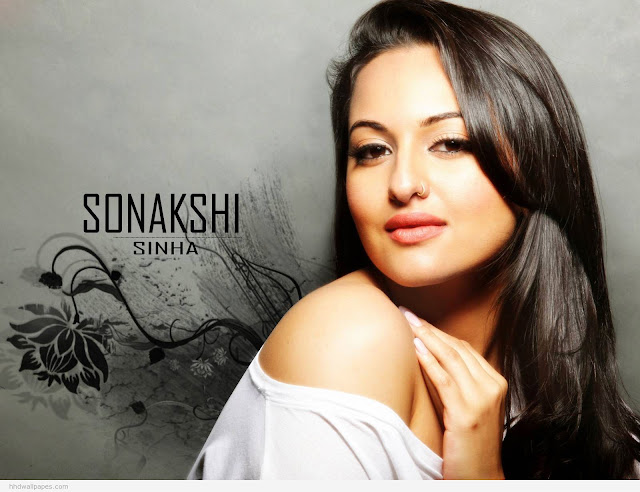 Indian Celebrities Sonakshi Sinha Hot HD Wallpaper 1024x768