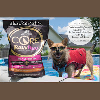 Wellness Core Raw Rev Dog Food Review