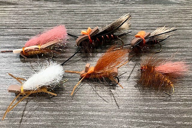Gorge Fly Shop Blog: The Deschutes River Salmon Fly Hatch