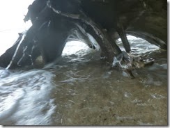 P1020750