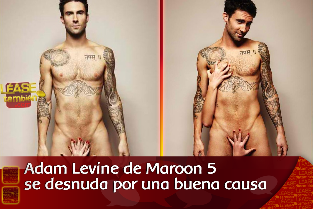 vocalista de maroon 5. vocalista de maroon 5. el