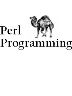 perl programming