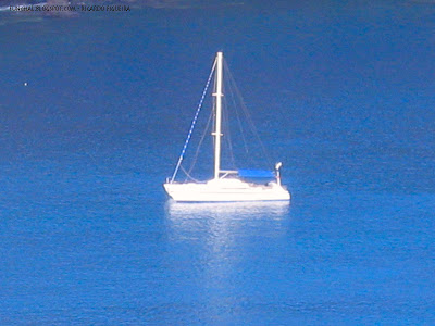 BARCO NO CANIÇAL