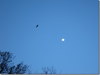 IMG_3020 IMG_3020