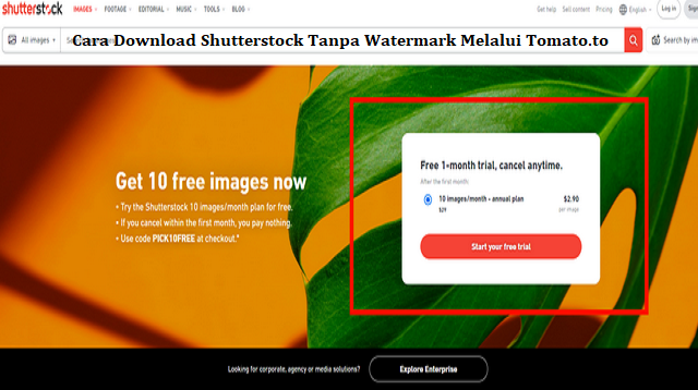 Cara Download Shutterstock Tanpa Watermark