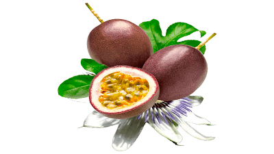 passion fruit fruits clipart