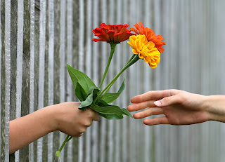 https://pixabay.com/it/photos/mano-bouquet-recinzione-regalo-1549224/