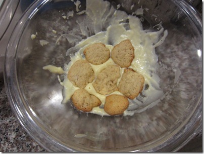 Bananapudding 070
