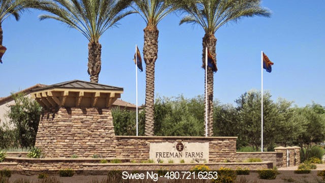 Freeman Farms Gilbert Homes For Sale