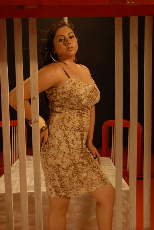 Photos Namitha Hot Photoshoot StillsGallery hot images