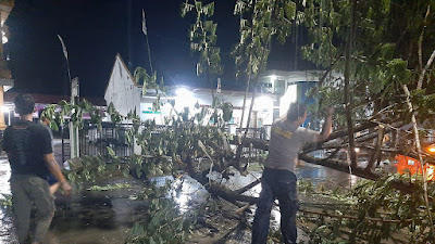 Pohon Tumbang Menutup Jalan Akibat Hujan dan Angin Kencang, Anggota Kepolisian Turun Langsung Bersihkan Lokasi