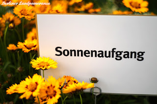 Blumenhalle IGA