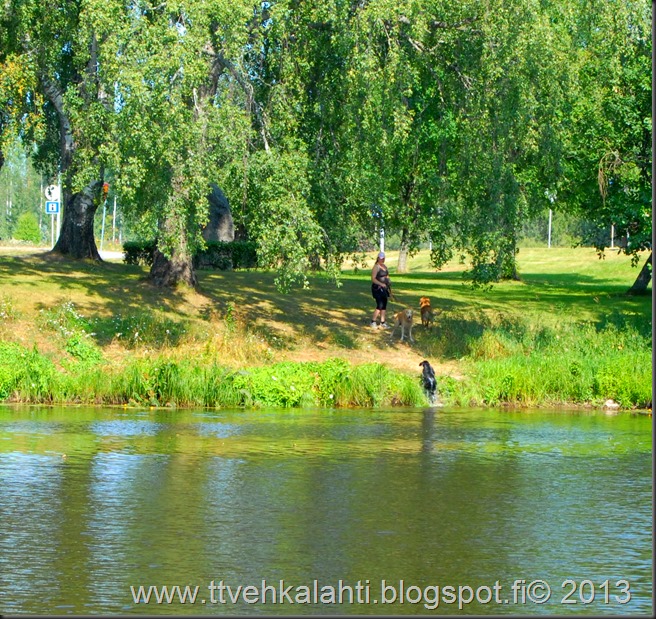 myllykoski 039