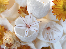 Asfodelo e fiori di carta per un centrotavola ecologico bianco, giallo, marsala