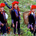 Let's Come To Vietnam And See How Sapa Will Change Your Mind About An Adventure