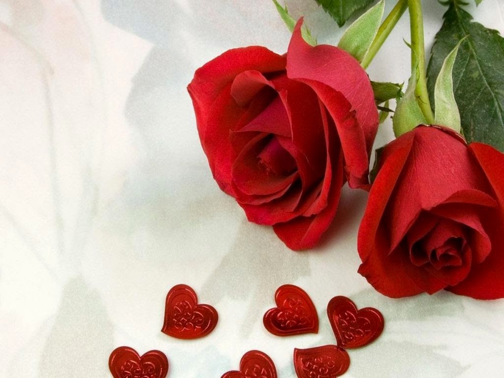  Berita Unik Menarik 20 Gambar  Foto Bunga  Mawar  Merah  