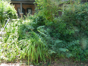 Toronto Leslieville Summer Front Yard Garden Cleanup Before by Paul Jung Gardening Services--a Toronto Organic Gardener