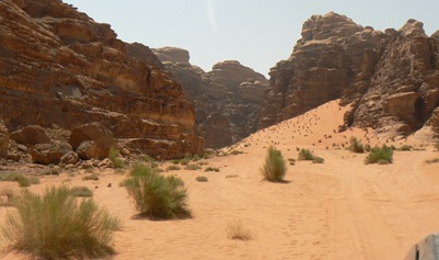 P1210508
