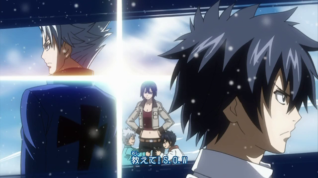 fairy tail anime