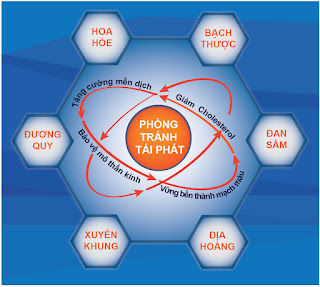 Sử dụng các thảo mộc tự nhiên để đề phòng bệnh tái phát