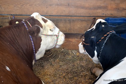 What could they be talking about?