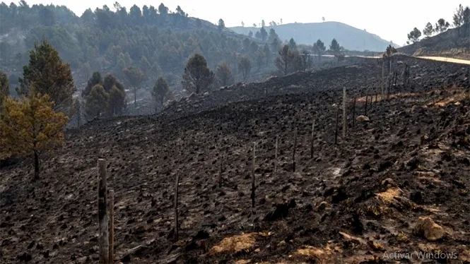 Gracias a las lluvias, se extinguieron todos los focos activos en Córdoba