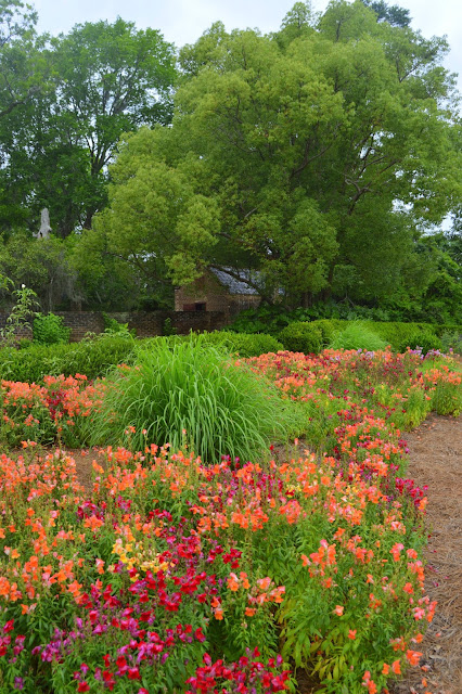 Gardens, Flowers