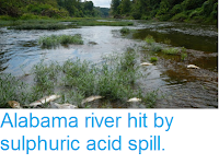 https://sciencythoughts.blogspot.com/2016/08/alabama-river-hit-by-sulphuric-acid.html