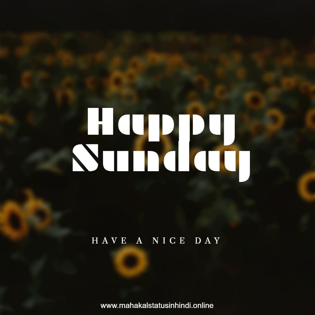 Happy Sunday Flowers  Images