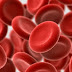 Datos Interesantes sobre la sangre que deberías conocer