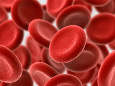 Datos Interesantes sobre la sangre que deberías conocer-TuParadaDigital