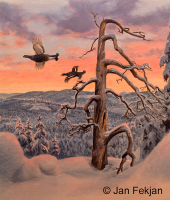 Bilde av digigrafiet 'Vintermorgen 1'. Digitalt trykk laget på bakgrunn av et maleri av fugler i vinterlandskap. Et landskapsmotiv med to orrhaner, orrfugl, Lyrurus tetrix som flyr mot soloppgangen. Snøen ligger tungt på trærne. Stilen kan beskrives som figurativ, nasjonalromantisk og realistisk. Bildet er i høydeformat.
