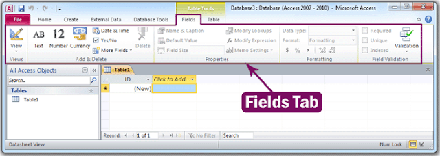 Microsoft Access 2010 Fields Tab in Hindi | माइक्रोसॉफ्ट एक्सेस 2010 फील्ड टैब हिंदी में