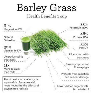 Nutrients and minerals in barley grass