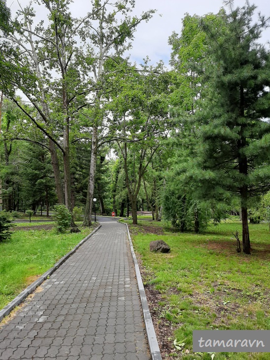 Седанка Парк во Владивостоке