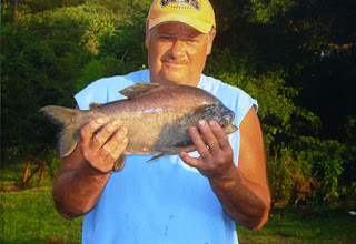 Piranha that is really a Pacu in Tennessee, Rogersville Review, by Bill Grub