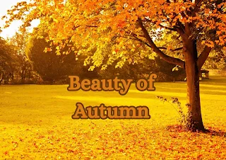 What Happened in Autumn