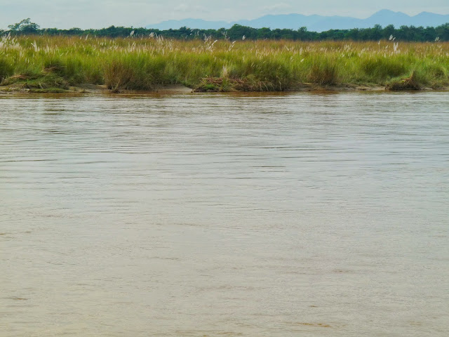 River in Chitwan