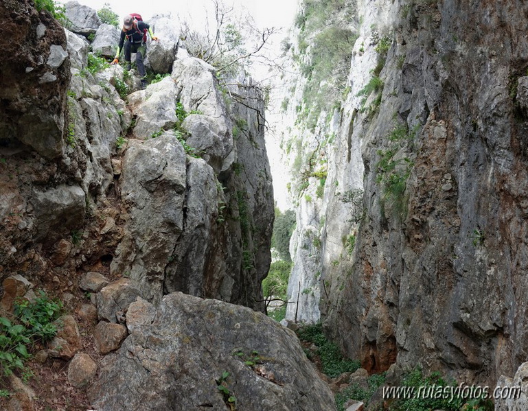 El Cintillo - Sierra Baja de Ubrique - Paso del Bombo - Ubrique - Cañada de los Pernales