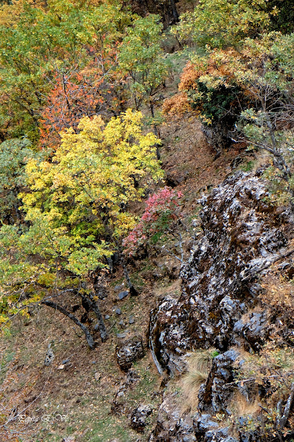 Camarate de Lugros, Granada, Bosque encantado, Senderismo