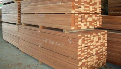 Harga Kayu Terbaru