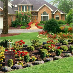 landscape-design