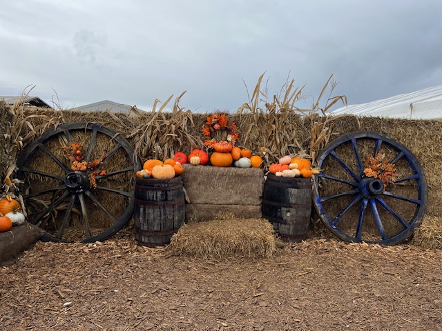 a group of pumpkins and wagon wheels