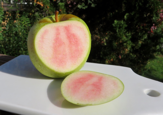 A green apple cut open to reveal pink streaks in its flesh