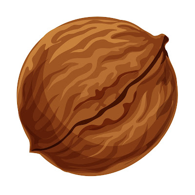 100+ Free Cartoon Images of Walnut dry fruit