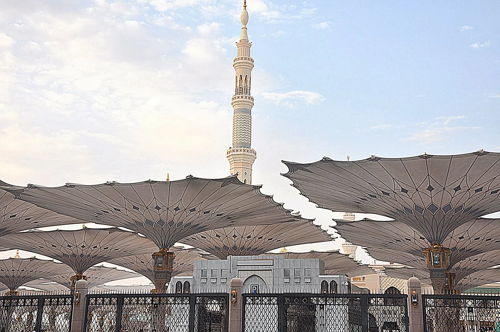 The Olive Journey: Barakah Madinah - Madinah Al Munawarah, Saudi Arabia