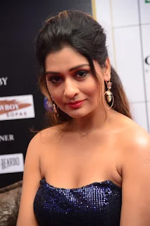 ActressPayal Rajput Stills at Dadasaheb Phalke Awards South 2019