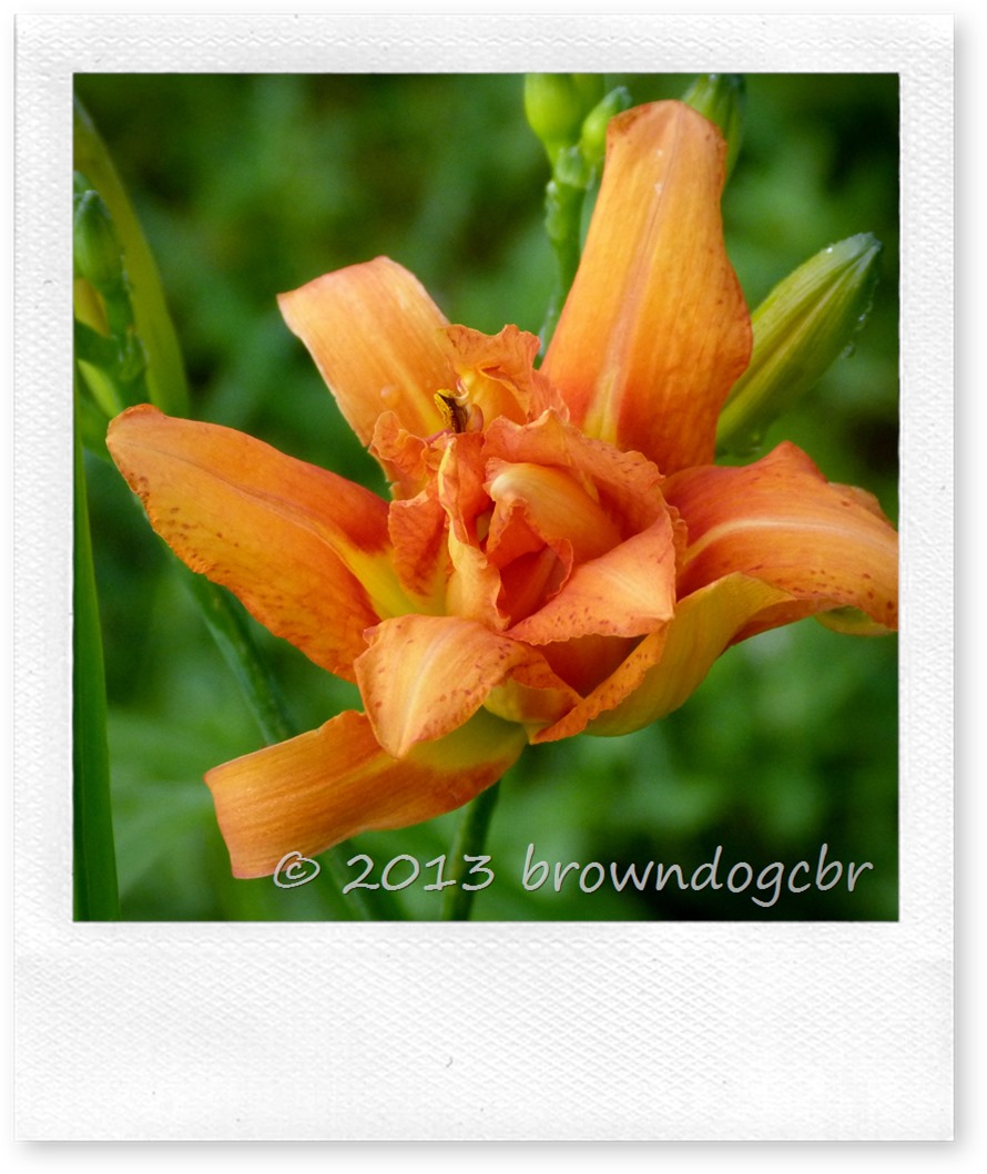P1210537