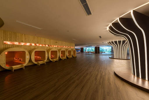 seva spa flamingo đại lải